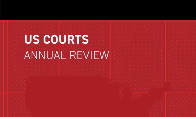 US Courts Annual Review - Edition 3