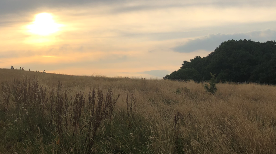 Plaintiffs flee WDTX; Why Intel's NPE move makes sense; IP strategy at NuCurrent; Message from new IAM editor; Campinos' legacy challenge at the EPO; plus much more - Vimarsana News