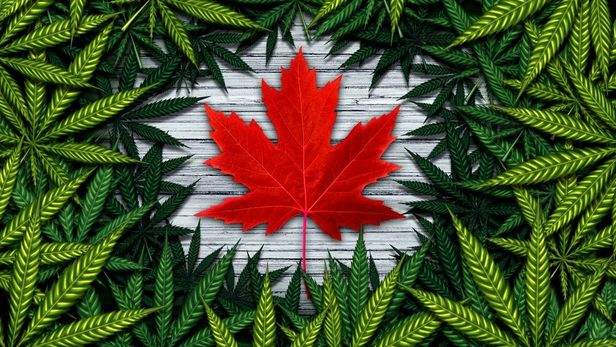 Canada’s cannabis market: a slow burner or a load of hot air?