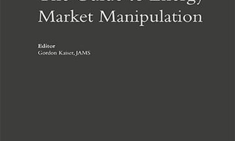 The Guide to Energy Market Manipulation